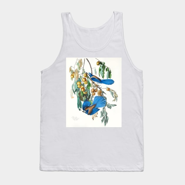 Florida Jay from Birds of America (1827) Tank Top by WAITE-SMITH VINTAGE ART